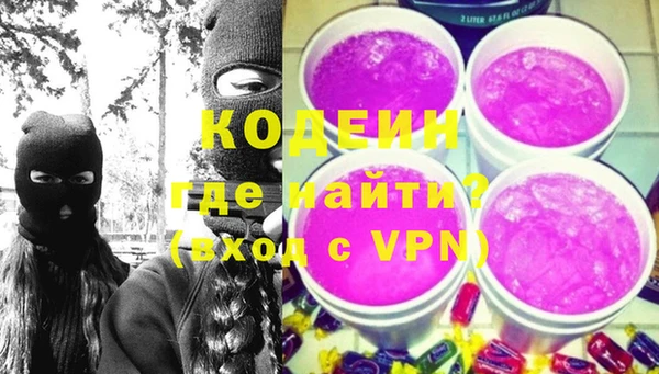 трава Няндома